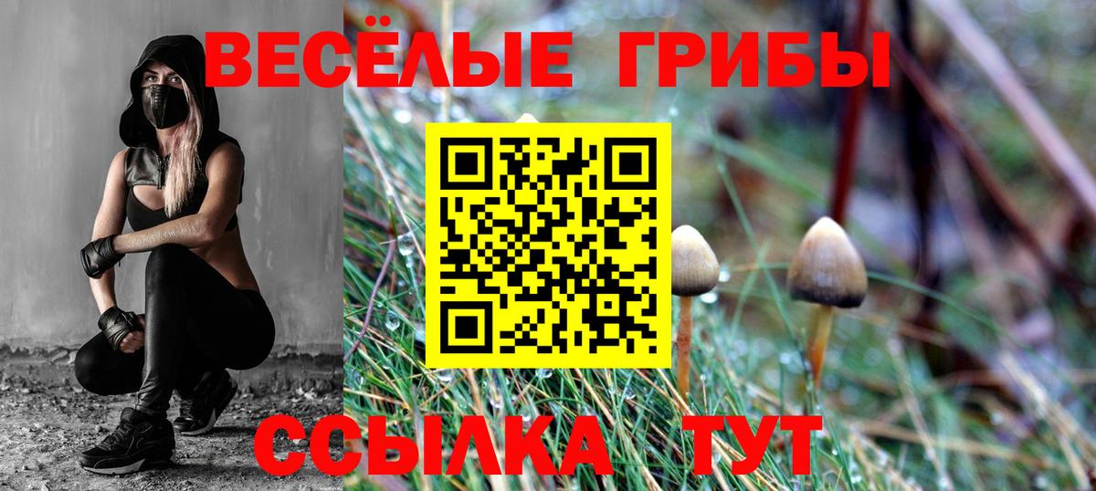 Брянск  Псилоцибиновые грибы прущие грибы  Вход с VPN  Галлюциногенные грибы Cubensis 