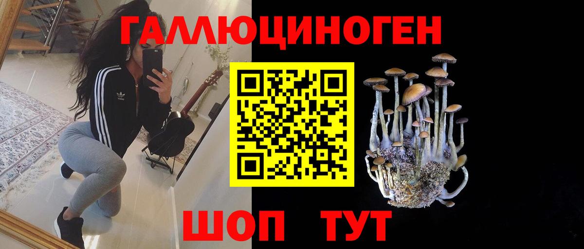Псилоцибиновые грибы MAGIC MUSHROOMS Брянск